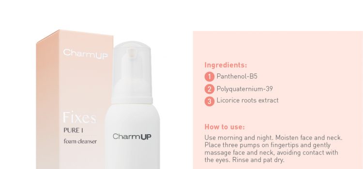 Fixes Pure Foam Cleanser