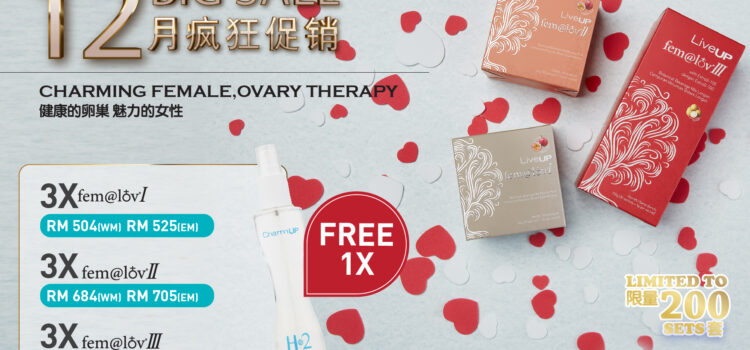 December Big Sale