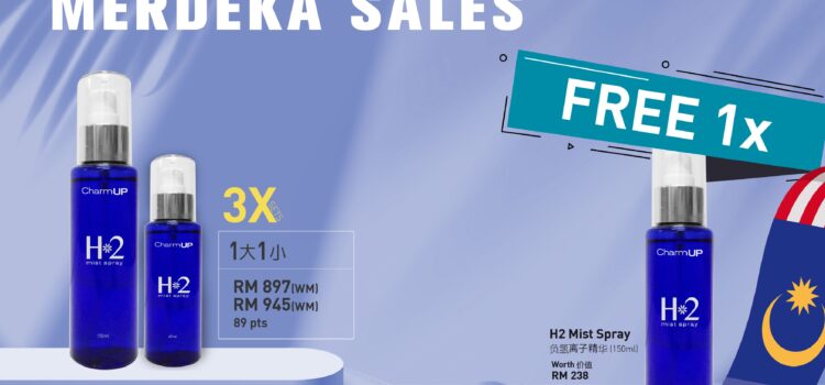 Merdeka Sales 3