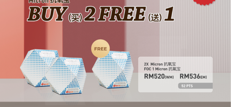 Micron November Promo 2025